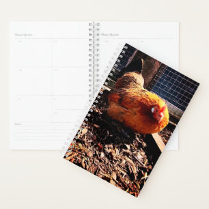 Poulet orange