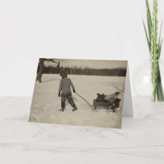 Poulets dans la carte de voeux de neige