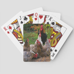 Poulets de basse cour et cartes de jeu drôles de