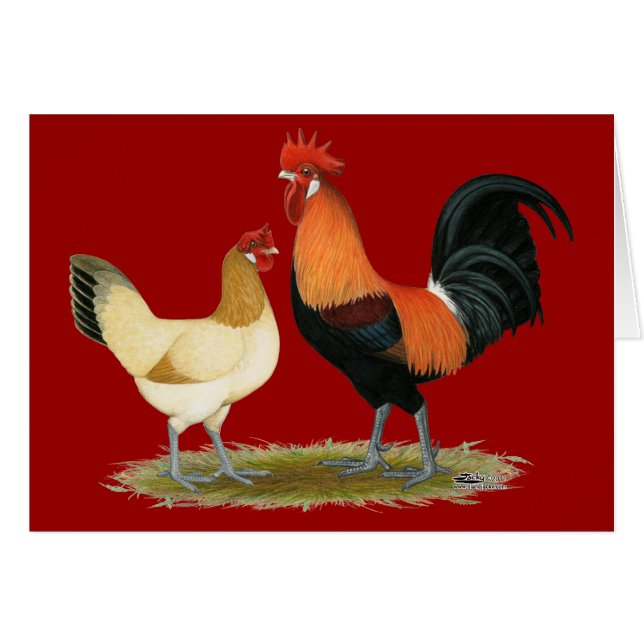Poulets de Penedesenca (Devant Horizontal)