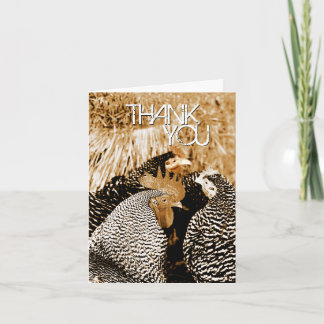 Poulets de ton de sépia épousant des cartes de