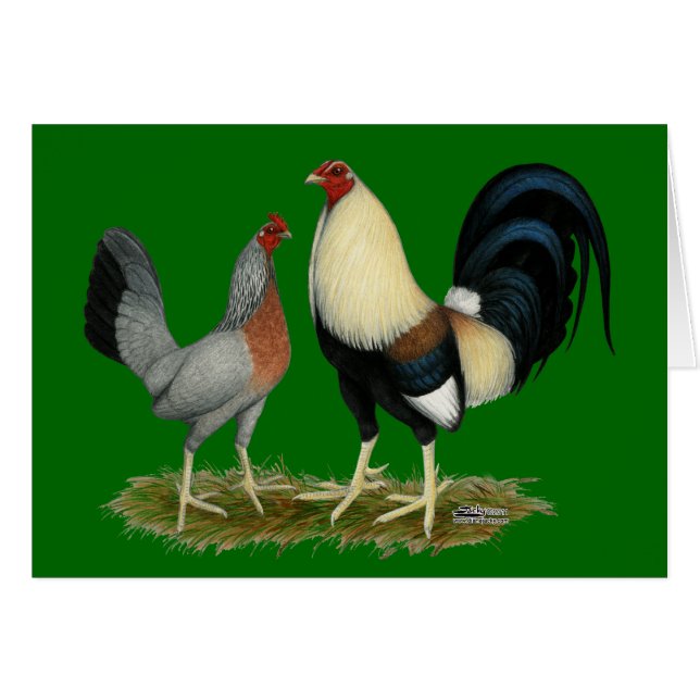 Poulets d'or de Duckwing (Devant Horizontal)