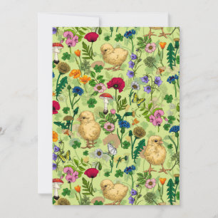 Poulets et fleurs sauvages sur le vert de rosée mi