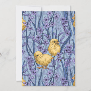 Poulets et hyacinthes bleu ciel