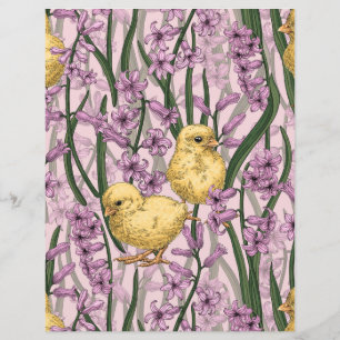 Poulets et hyacinthes roses