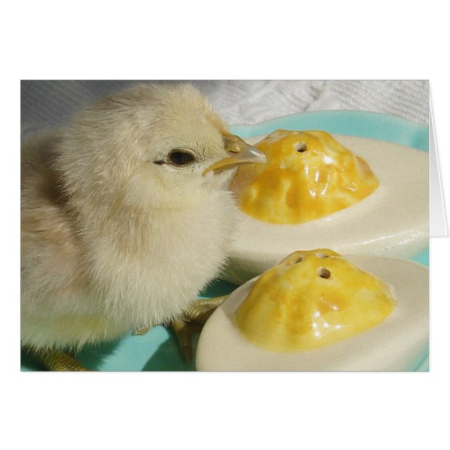 Poulets et oeufs déversés 2 (Devant horizontal)