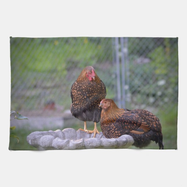 Poulets Sur Bain D'Oiseau Serviette De Cuisine (Horizontal)
