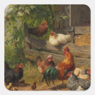 Poulets vintages et autocollant de coq