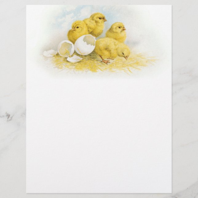 Poulets vintages pour bébés (Devant)