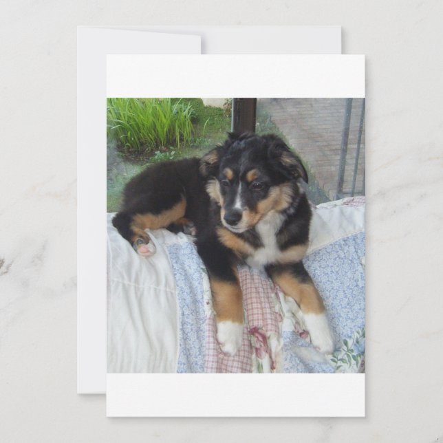 poupée de tri noir aussie (Devant)