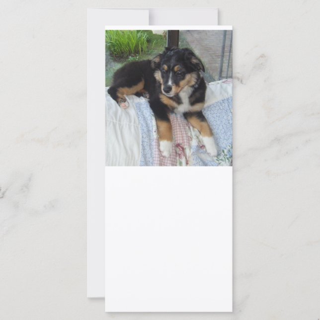 poupée de tri noir aussie (Devant)