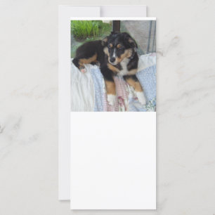 poupée de tri noir aussie