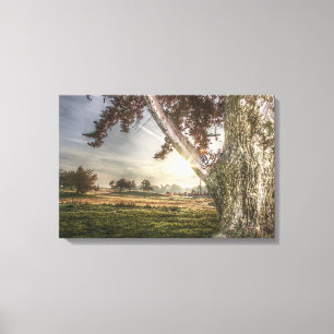 Poupée léopard dans une toile d'arbre