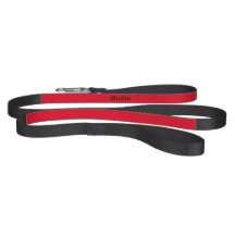 Laisse customisée de chien