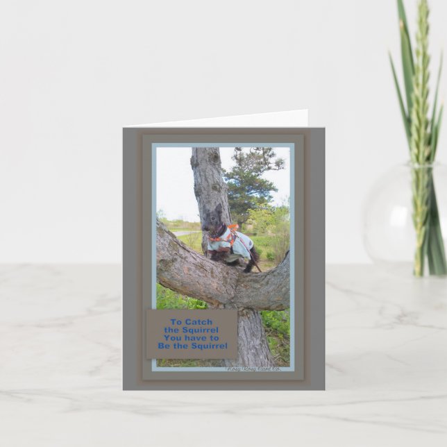 Pour attraper la carte d'écureuil (Devant)