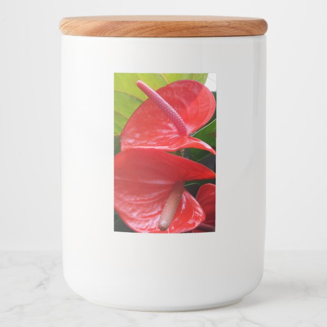 Pour Bocaux Étiquette de contenants à fleurs rouges (Devant)