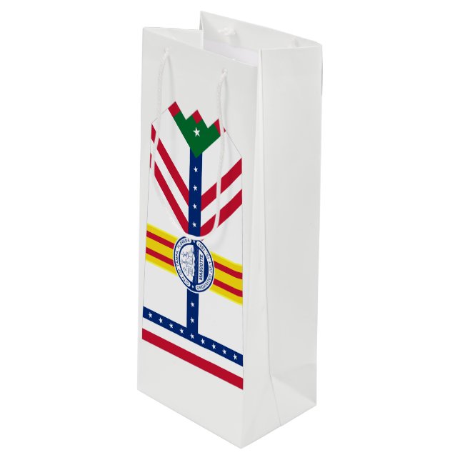 Pour Bouteille Drapeau Tampa, Sac Cadeau Vin Floride (Devant Angle)