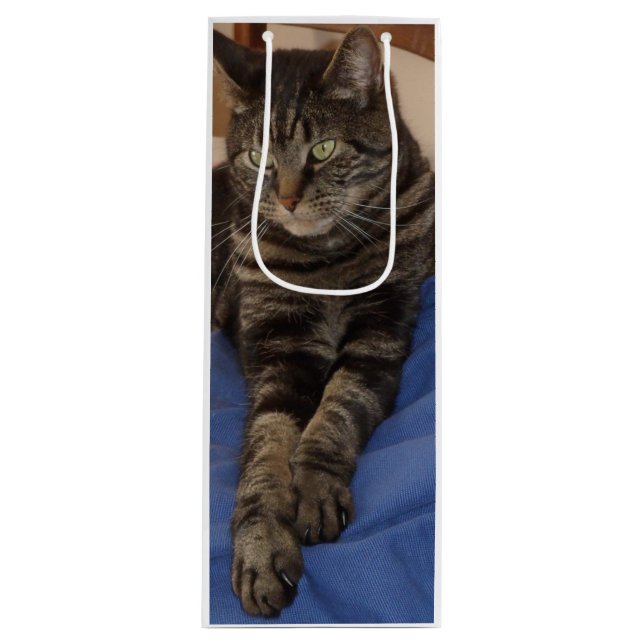 Pour Bouteille Sac cadeau Regal Dave Wine (Devant)