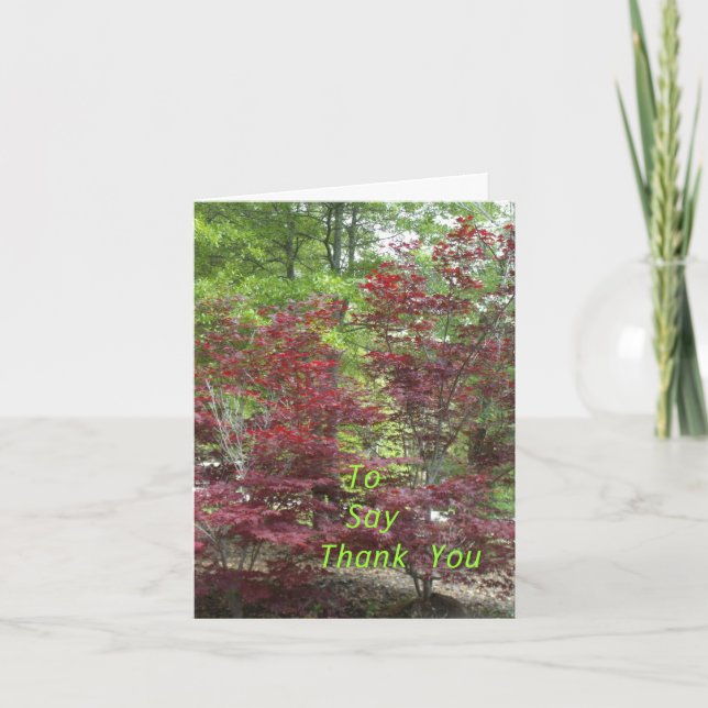 Pour dire Merci (Devant)