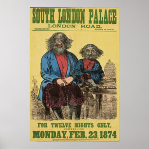 Pour douze nuits seulement Poster