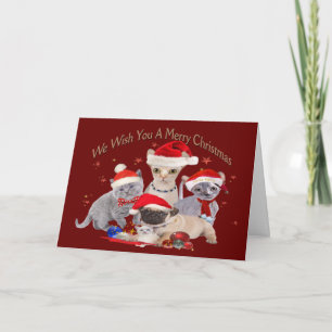 Pour Fêtes Annuelles 3 chats et cartes d'un carlin