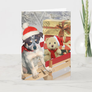 Pour Fêtes Annuelles Blue Heeler Vous Souhaite De Joyeuses Cartes De No