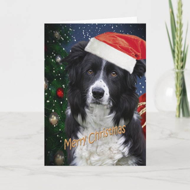 Pour Fêtes Annuelles BORDER COLLIE MERRY CHRISTMAS Cartes (Devant)