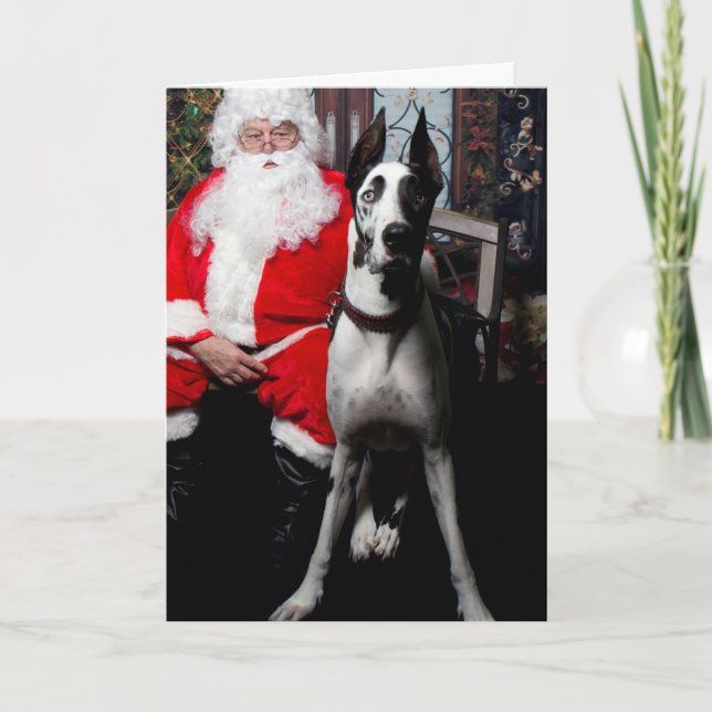 Pour Fêtes Annuelles Bouteur le chien de thérapie, cartes de Noël (Devant)