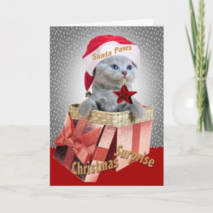Pour Fêtes Annuelles British Shorthair Kitten Noël Cartes surprise