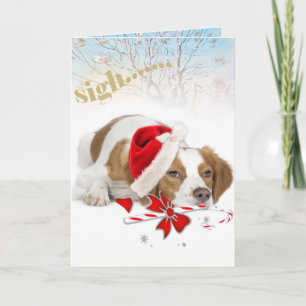 Pour Fêtes Annuelles Brittany Père Noël Prend Des Cartes Aussi Longues