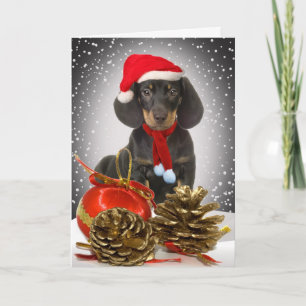 Pour Fêtes Annuelles Cartes à col de Noël Dachshund