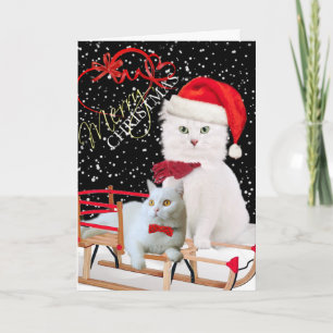 Pour Fêtes Annuelles Cartes blanches de Joyeux Noël de chat