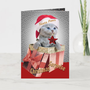 Pour Fêtes Annuelles Cartes bleues russes de surprise de Noël