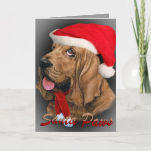 Pour Fêtes Annuelles Cartes Bloodhound Père Noël Paws