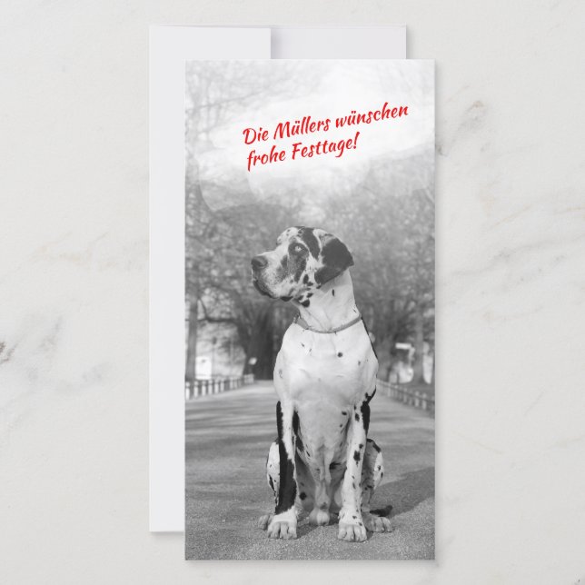 Pour Fêtes Annuelles Cartes de foto de Noël de great dane (Devant)