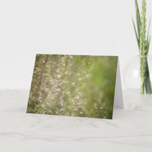 Pour Fêtes Annuelles Cartes de graines d'impressions