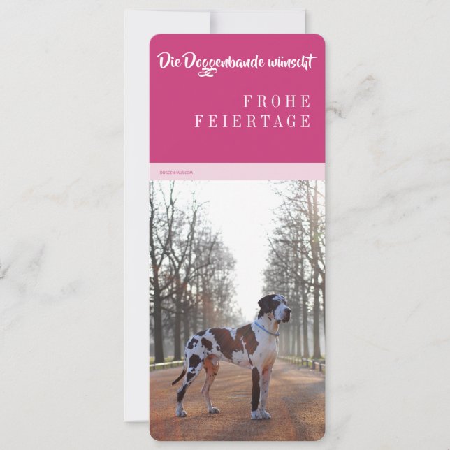 Pour Fêtes Annuelles Cartes de Grand Danois de Noël (Devant)