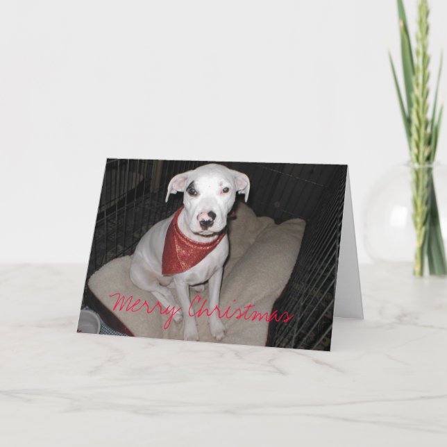 Pour Fêtes Annuelles Cartes de Noël (Devant)