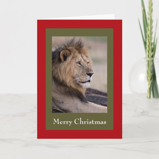 Pour Fêtes Annuelles cartes de Noël (Devant)