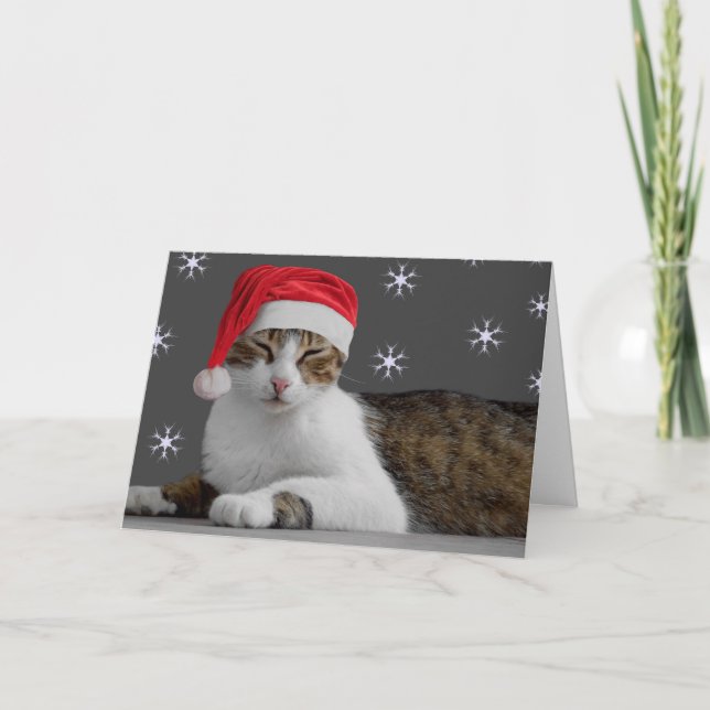 Pour Fêtes Annuelles Cartes de Noël (Devant)