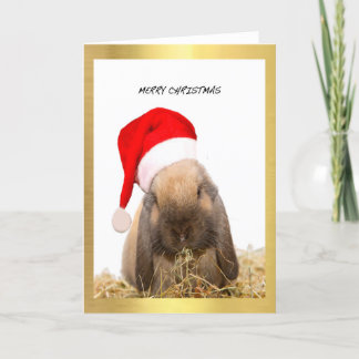 Pour Fêtes Annuelles Cartes de Noël