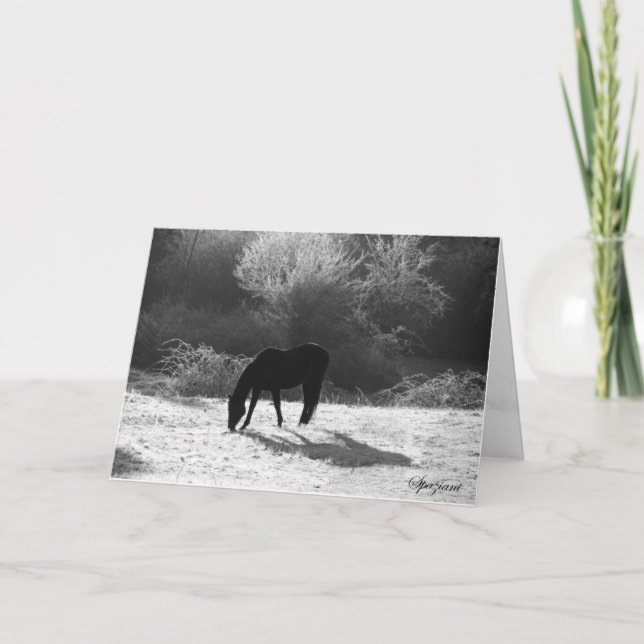 Pour Fêtes Annuelles Cartes de Noël 2012 (Devant)