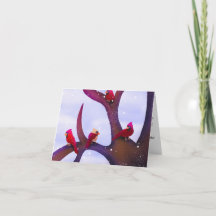Cartes de Noël avec des cardinaux perchés sur un a