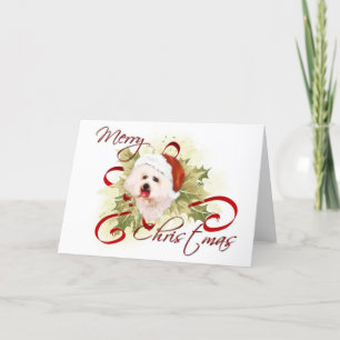 Pour Fêtes Annuelles Cartes de Noël Bichon Frise