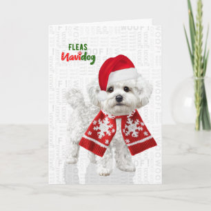Pour Fêtes Annuelles Cartes de Noël Bichon Frise Drôle Puces Navidog