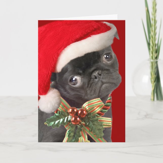 Pour Fêtes Annuelles Cartes de Noël carlin (Devant)