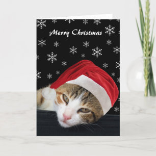 Pour Fêtes Annuelles Cartes de Noël chats mignonnes