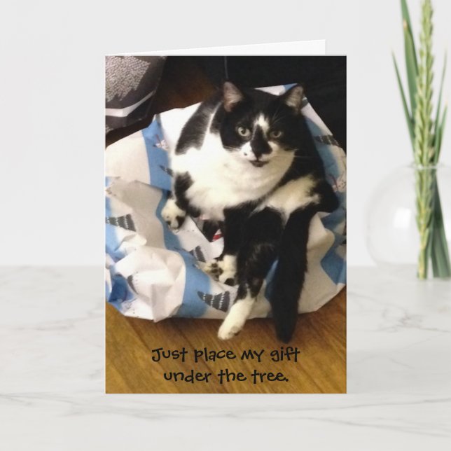 Pour Fêtes Annuelles Cartes de Noël Cute Tuxedo Chat Purr-fect (Devant)