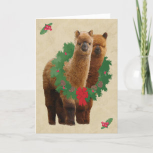 Pour Fêtes Annuelles Cartes de Noël d'alpaga