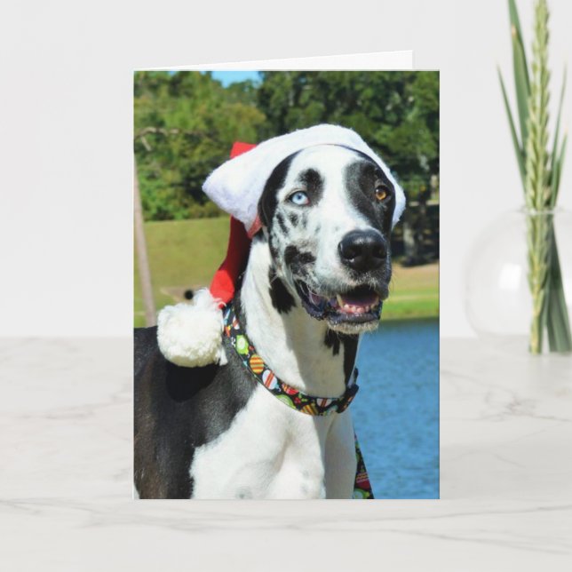 Pour Fêtes Annuelles Cartes de Noël de bouteur (Devant)